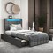 Grey Velvet Upholstered LED Bed Frame with Headboard and Storage Drawers